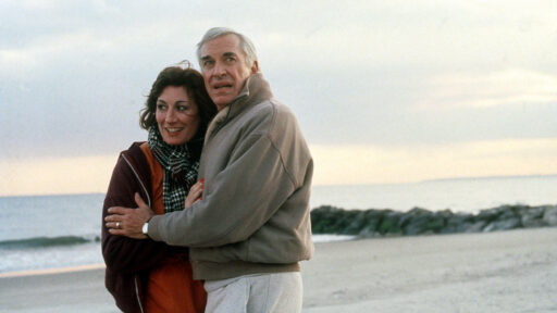 מרטין לנדאו ואנג'ליקה יוסטון, "פשעים ועבירות קלות"